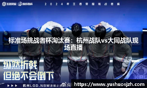 DG视讯APP