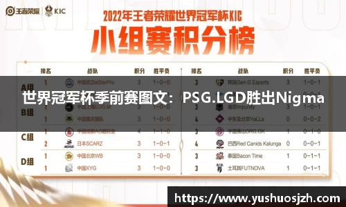 DG视讯平台