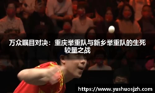DG视讯