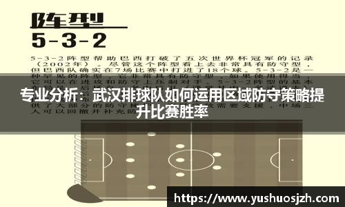 DG视讯