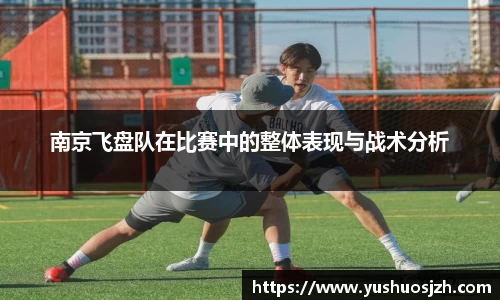 DG视讯平台