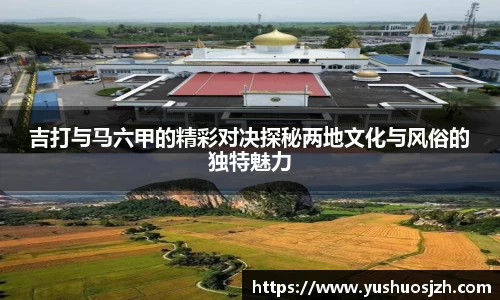 DG视讯平台
