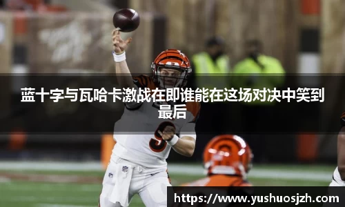 球王会官方网站